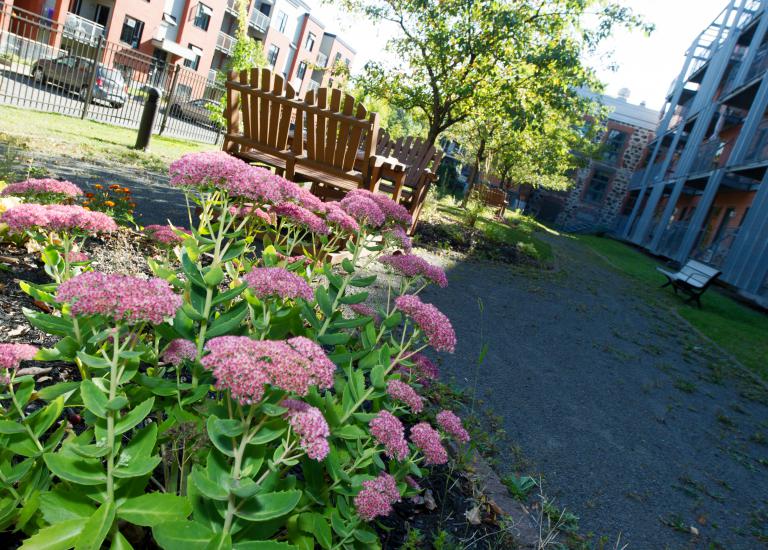 Landscaped courtyard at Jean-Placide-Desrosiers