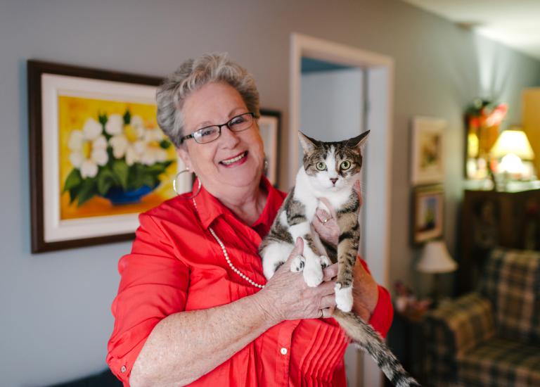 Animaux domestiques, Résidence Des Ateliers