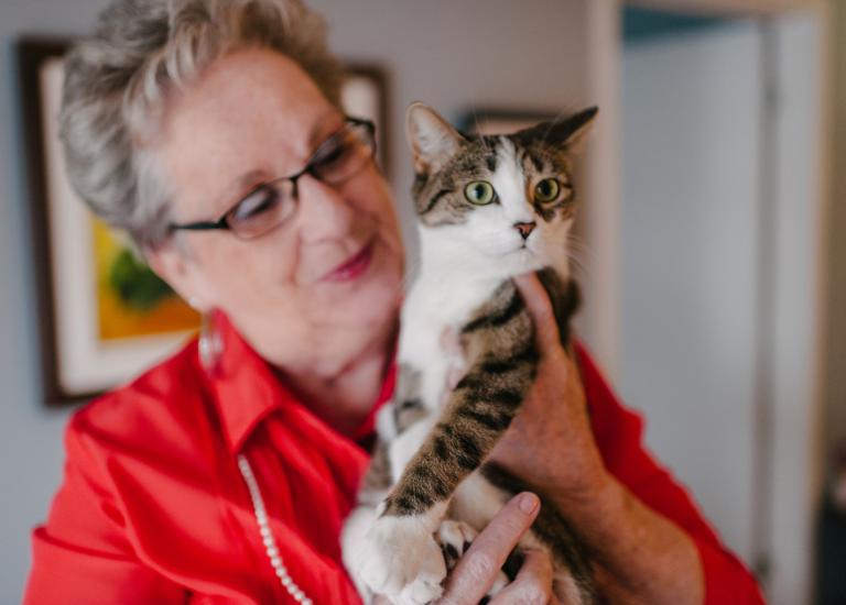 Les animaux domestiques sont permis